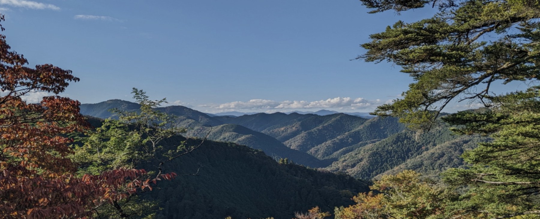 高尾の山並みと紅葉